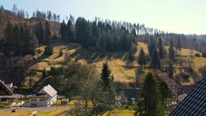 Verkauf frei stehendes Einfamilienhaus in Einsiedel Aussicht