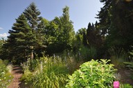 Verkauf Gartengrundstück Suhl Lautenberg Ansicht Grundstück