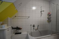 Verkauf 2 Zimmer-Eigentumswohnung Suhl Albrechts Dachgeschoss Bad