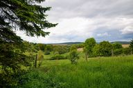 Verkauf Doppelhaushälfte mit separatem Freizeitgrundstück Aussicht